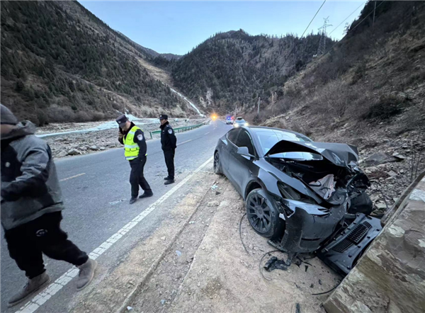 司机高反致特斯拉Model Y时速100冲出道路：没起火没爆炸