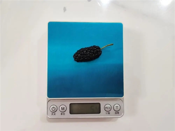 一口爆汁！维生素C 4倍于蓝莓 21世纪最佳保健水果现在吃正好