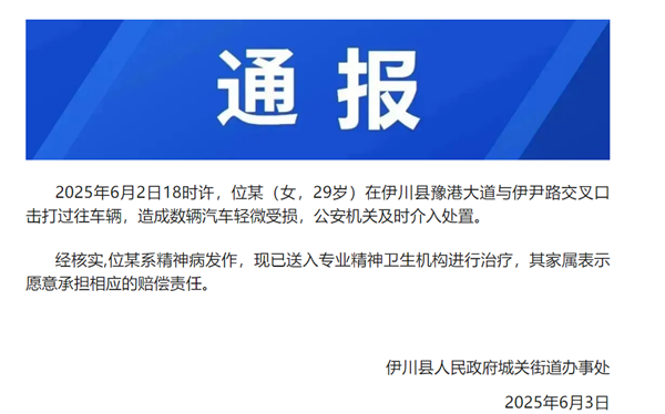 29岁女子当街打砸多车 官方通报：系精神病发作